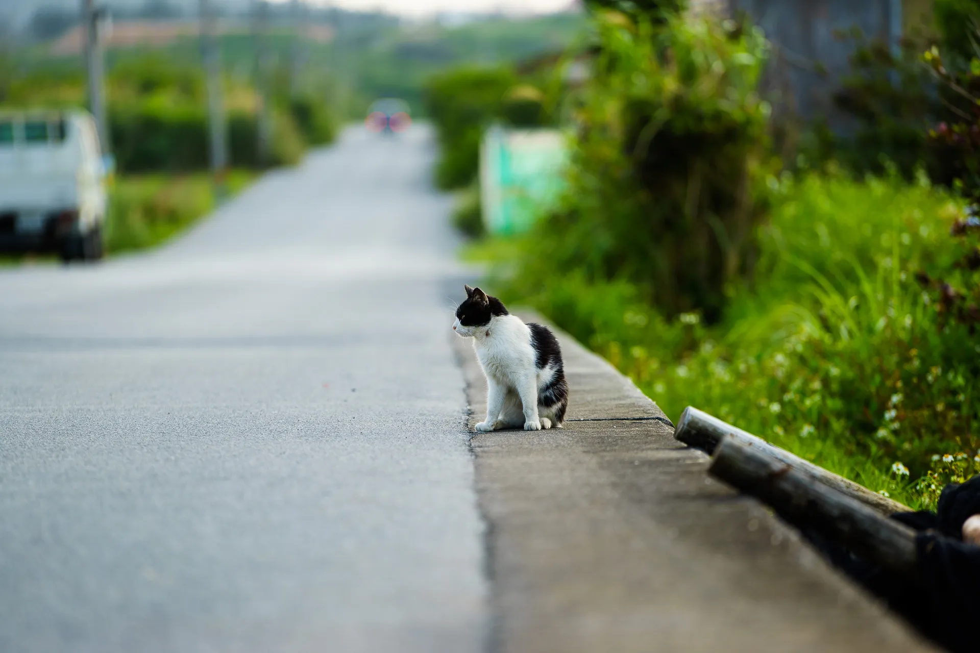 Okinawa