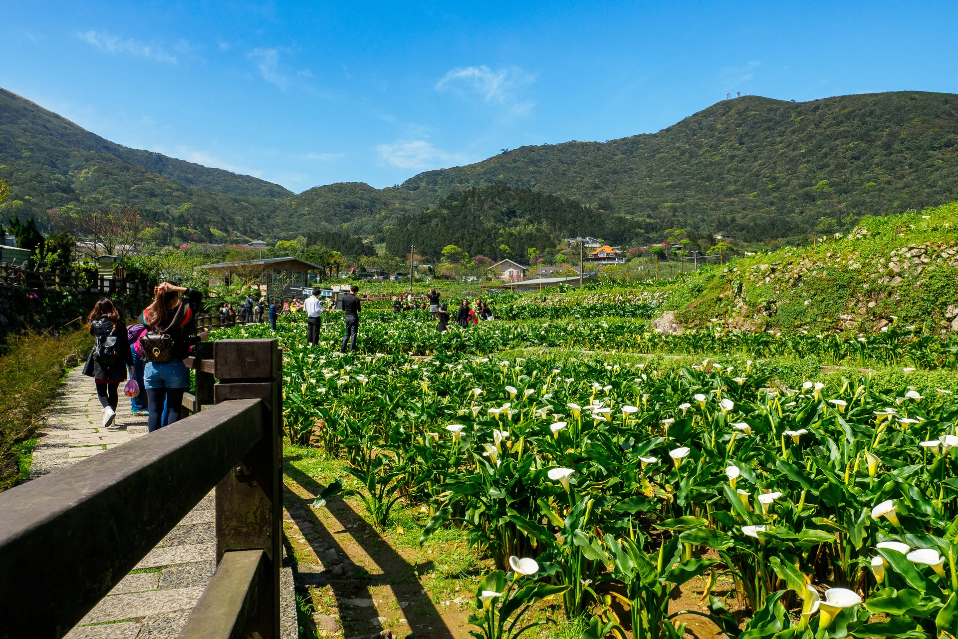 Taipei